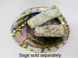 Large Abalone Shell Bowl (6-7 inches)