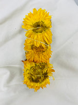 Variety Pack of Dragon Blood, Sunflower w/ White Sage & Palo Santo Stick