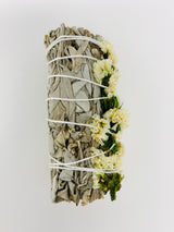 Sage Variety Pack #2 (Triple Flower, Rose, Yerba Santa, Sinuata)