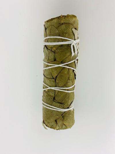 Eucalyptus with White Sage